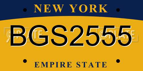 BGS2555 New York License Plate