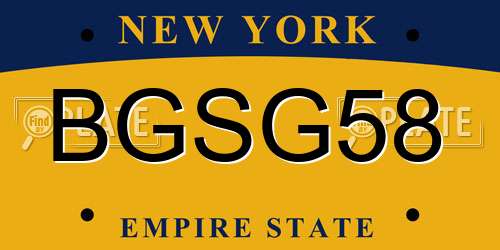 BGSG58 New York License Plate