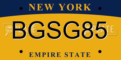 BGSG85 New York License Plate