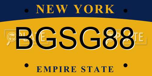 BGSG88 New York License Plate
