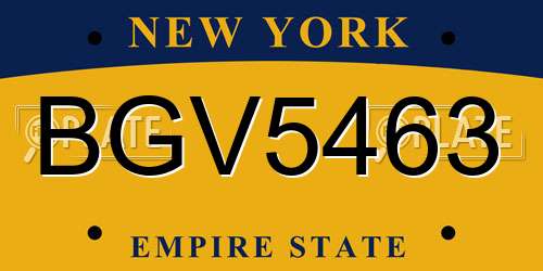 BGV5463 New York License Plate