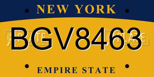 BGV8463 New York License Plate