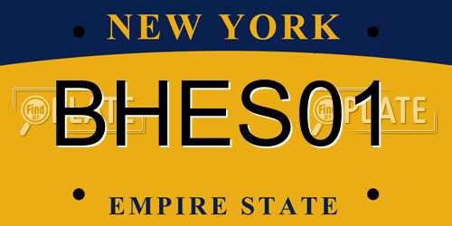 BHES01 New York License Plate