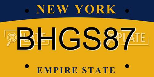 BHGS87 New York License Plate