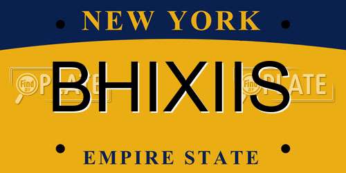 BHIXIIS New York License Plate