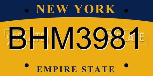 BHM3981 New York License Plate