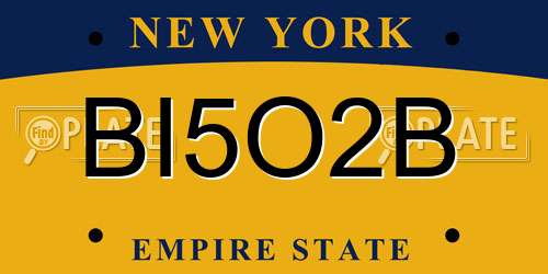 BI5O2B New York License Plate