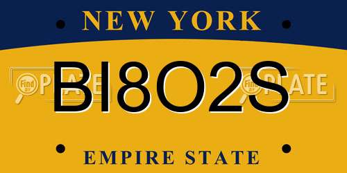 BI8O2S New York License Plate