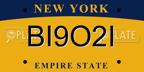 BI9O2I New York License Plate