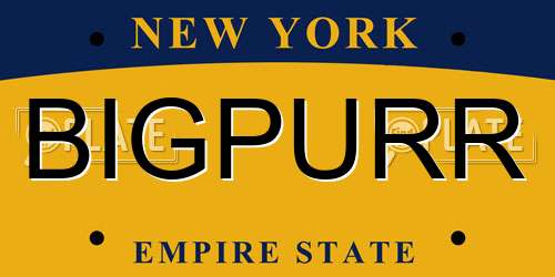 BIGPURR New York License Plate