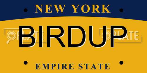 BIRDUP New York License Plate