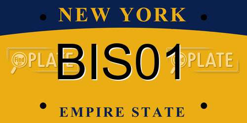 BIS01 New York License Plate