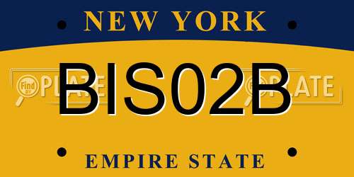 BIS02B New York License Plate