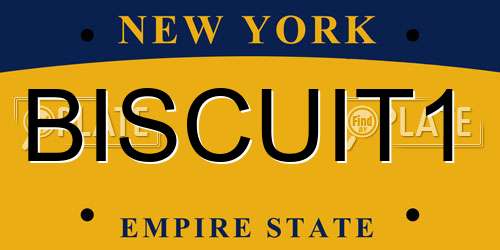 BISCUIT1 New York License Plate