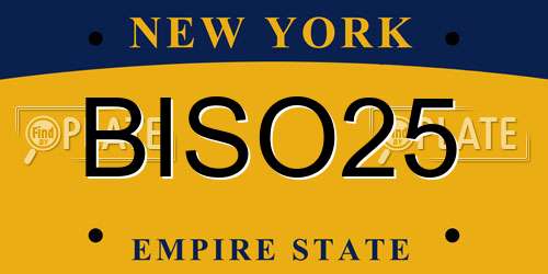 BISO25 New York License Plate