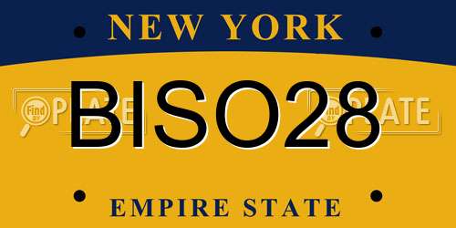 BISO28 New York License Plate