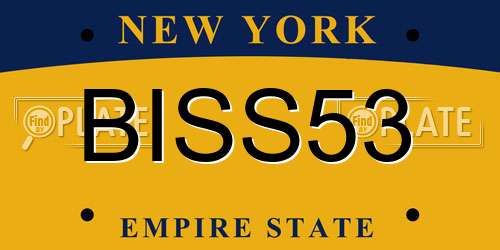 BISS53 New York License Plate