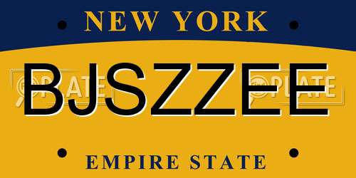 BJSZZEE New York License Plate