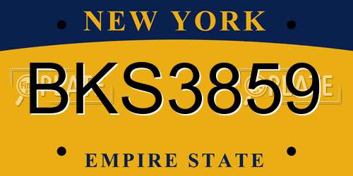 BKS3859 New York License Plate