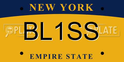 BL1SS New York License Plate