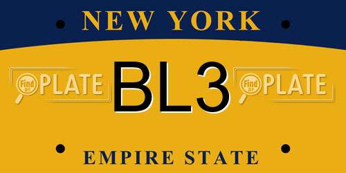 BL3 New York License Plate