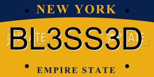 BL3SS3D New York License Plate