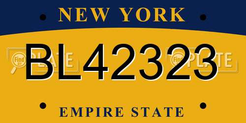 BL42323 New York License Plate