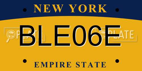 BLE06E New York License Plate