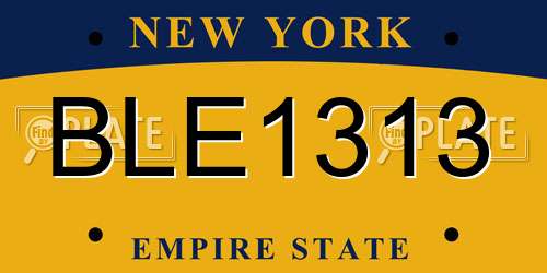BLE1313 New York License Plate