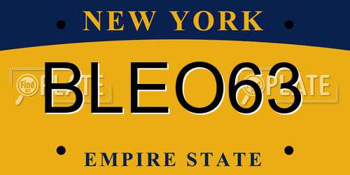 BLEO63 New York License Plate