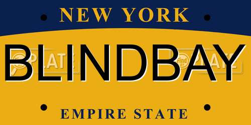 BLINDBAY New York License Plate