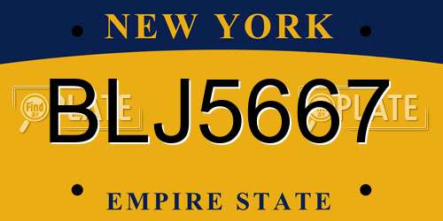 BLJ5667 New York License Plate