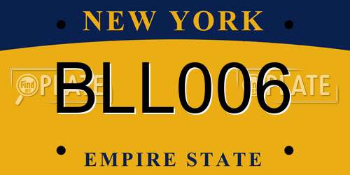 BLL006 New York License Plate