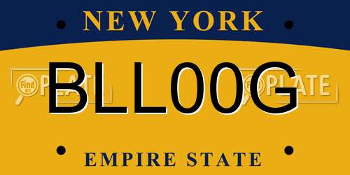 BLL00G New York License Plate