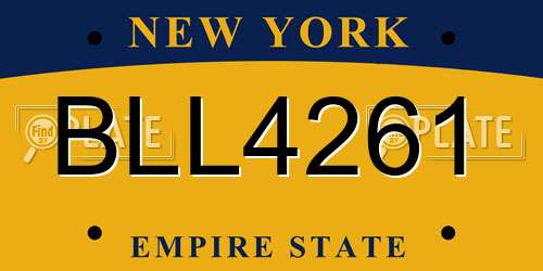 BLL4261 New York License Plate
