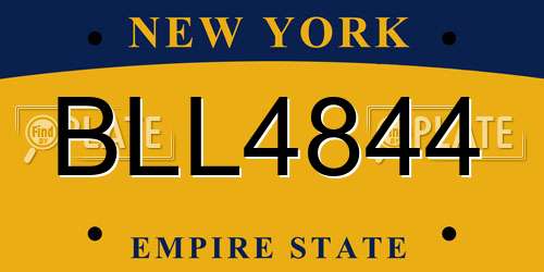 BLL4844 New York License Plate