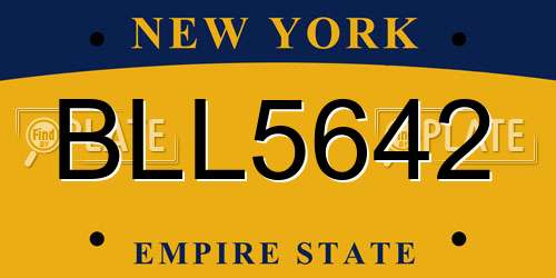 BLL5642 New York License Plate