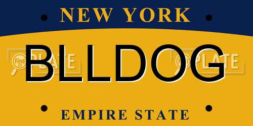 BLLDOG New York License Plate