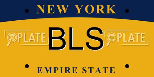 BLS New York License Plate