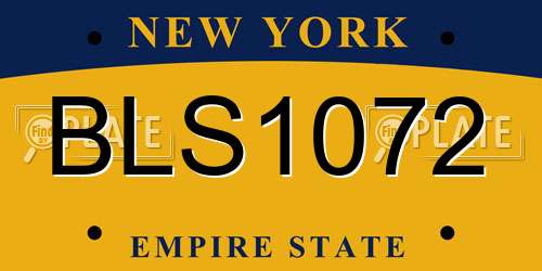 BLS1072 New York License Plate
