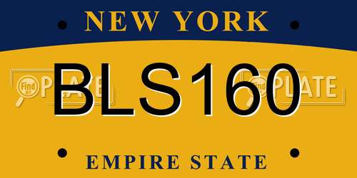BLS160 New York License Plate