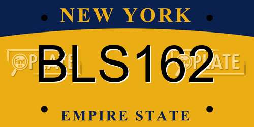 BLS162 New York License Plate