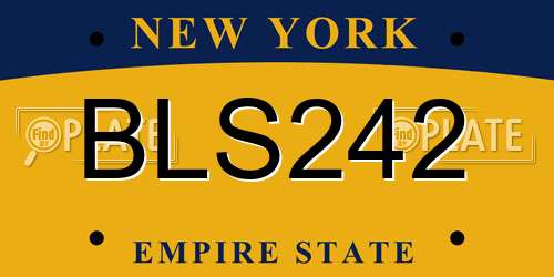 BLS242 New York License Plate