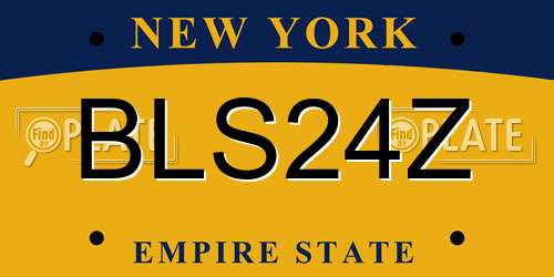 BLS24Z New York License Plate