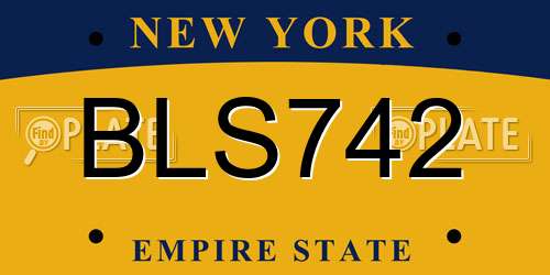 BLS742 New York License Plate