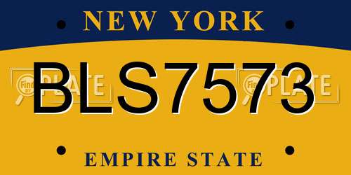 BLS7573 New York License Plate