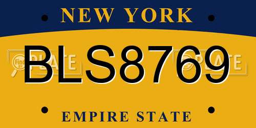 BLS8769 New York License Plate