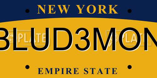 BLUD3MON New York License Plate