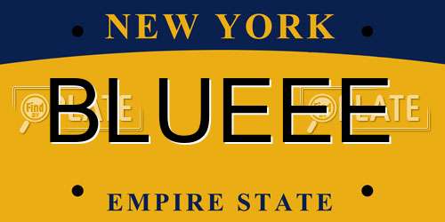 BLUEEE New York License Plate