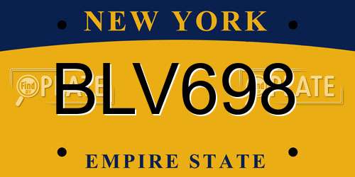 BLV698 New York License Plate